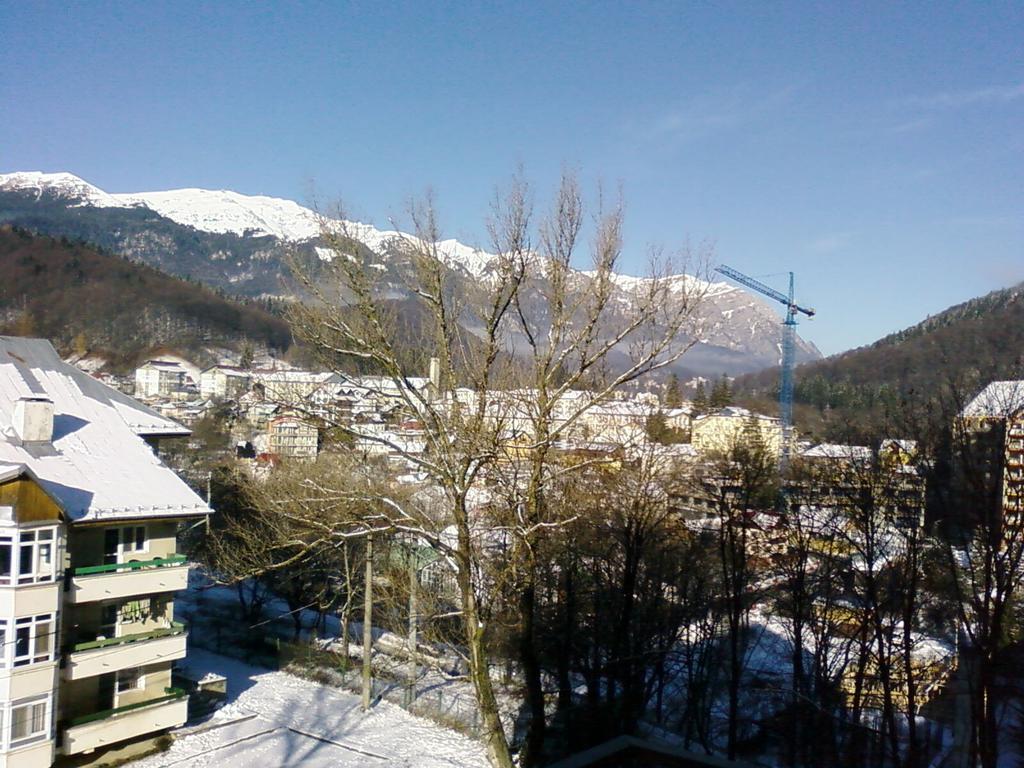 Mountain View Nest Apartment Sinaia Exterior foto